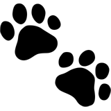 7gutegruende